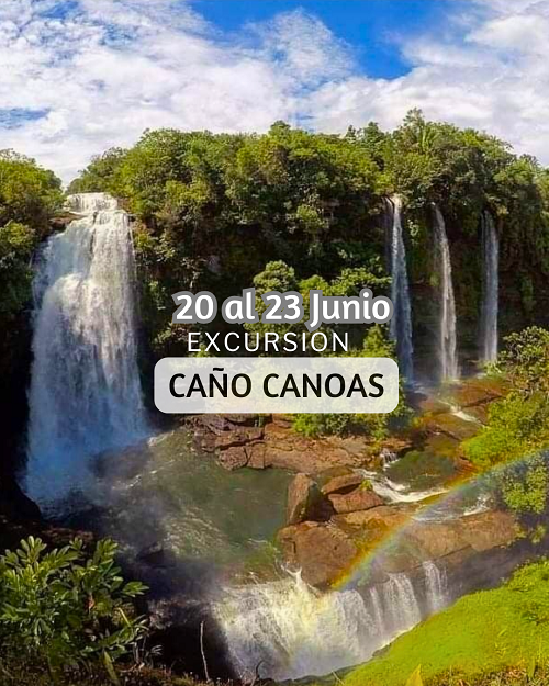 CAÑO CANOAS